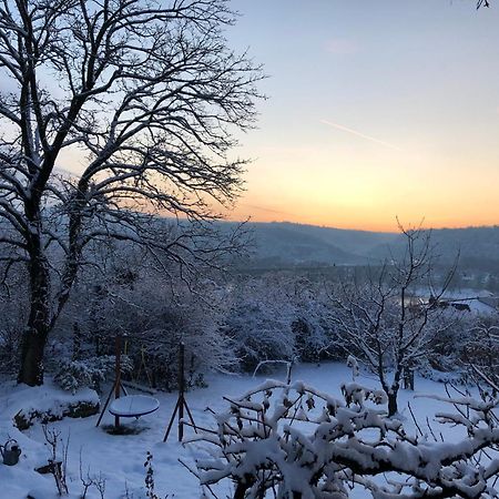 Ueber Den Daechern Von Koblenz - Aussichts-Wohnung Naturpark Rheinblick, Ruhig, Zentrumsnah, Sport-Pool Eksteriør billede