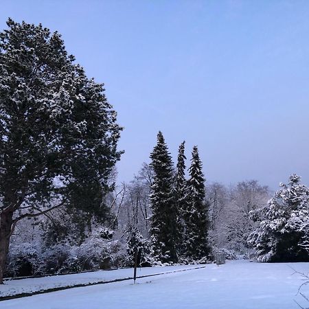 Ueber Den Daechern Von Koblenz - Aussichts-Wohnung Naturpark Rheinblick, Ruhig, Zentrumsnah, Sport-Pool Eksteriør billede