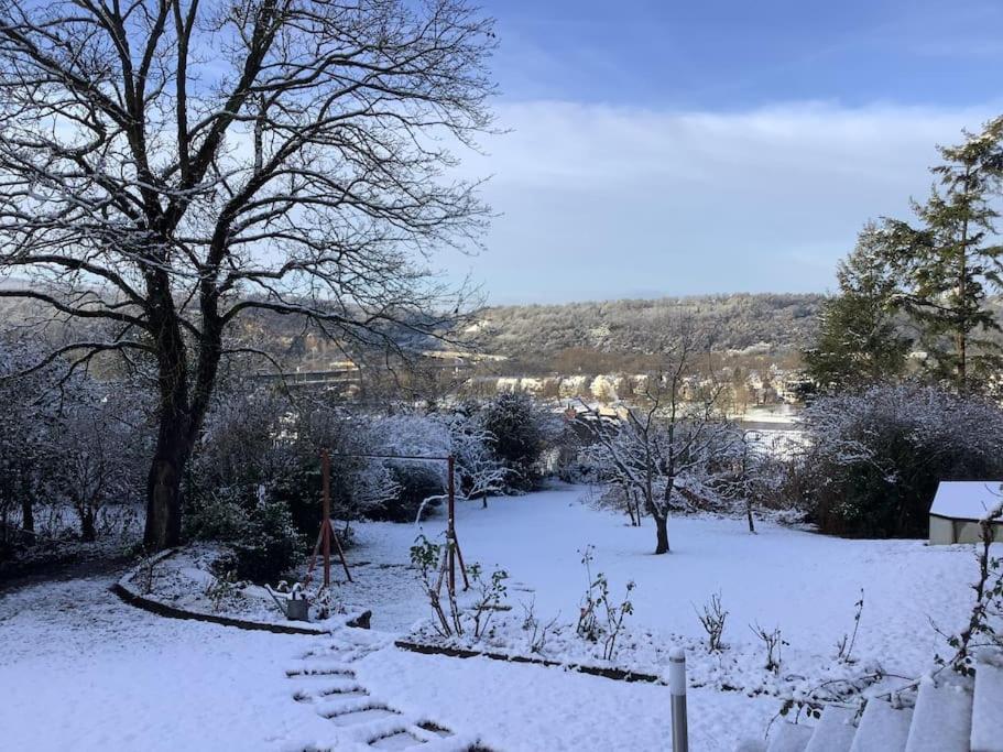 Ueber Den Daechern Von Koblenz - Aussichts-Wohnung Naturpark Rheinblick, Ruhig, Zentrumsnah, Sport-Pool Eksteriør billede