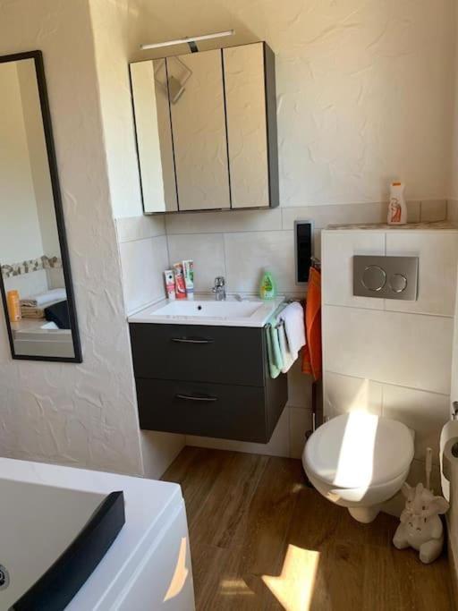 Ueber Den Daechern Von Koblenz - Aussichts-Wohnung Naturpark Rheinblick, Ruhig, Zentrumsnah, Sport-Pool Eksteriør billede