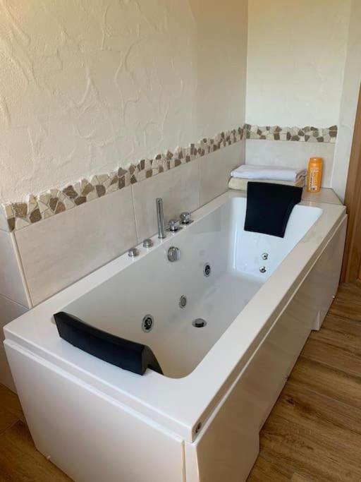 Ueber Den Daechern Von Koblenz - Aussichts-Wohnung Naturpark Rheinblick, Ruhig, Zentrumsnah, Sport-Pool Eksteriør billede
