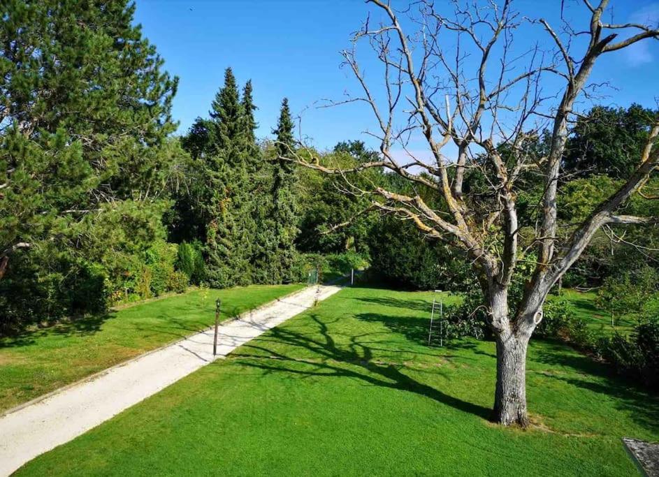 Ueber Den Daechern Von Koblenz - Aussichts-Wohnung Naturpark Rheinblick, Ruhig, Zentrumsnah, Sport-Pool Eksteriør billede