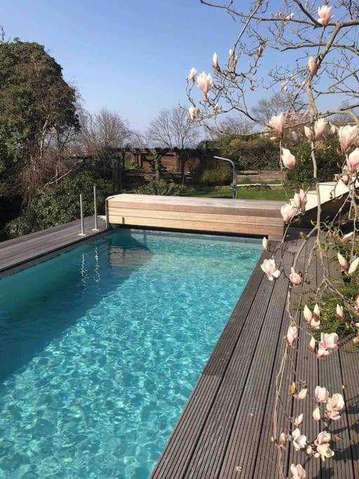 Ueber Den Daechern Von Koblenz - Aussichts-Wohnung Naturpark Rheinblick, Ruhig, Zentrumsnah, Sport-Pool Eksteriør billede