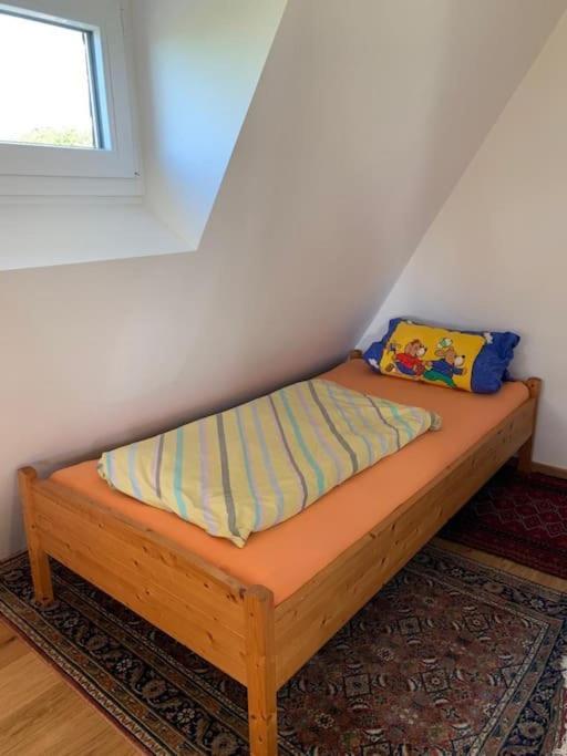 Ueber Den Daechern Von Koblenz - Aussichts-Wohnung Naturpark Rheinblick, Ruhig, Zentrumsnah, Sport-Pool Eksteriør billede