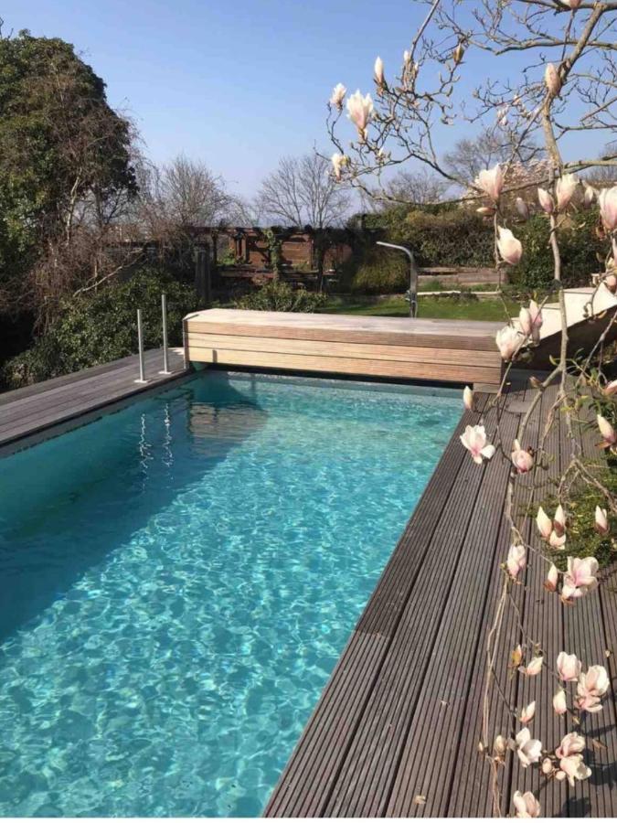 Ueber Den Daechern Von Koblenz - Aussichts-Wohnung Naturpark Rheinblick, Ruhig, Zentrumsnah, Sport-Pool Eksteriør billede