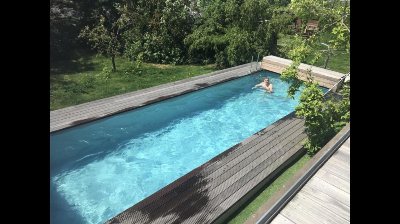 Ueber Den Daechern Von Koblenz - Aussichts-Wohnung Naturpark Rheinblick, Ruhig, Zentrumsnah, Sport-Pool Eksteriør billede