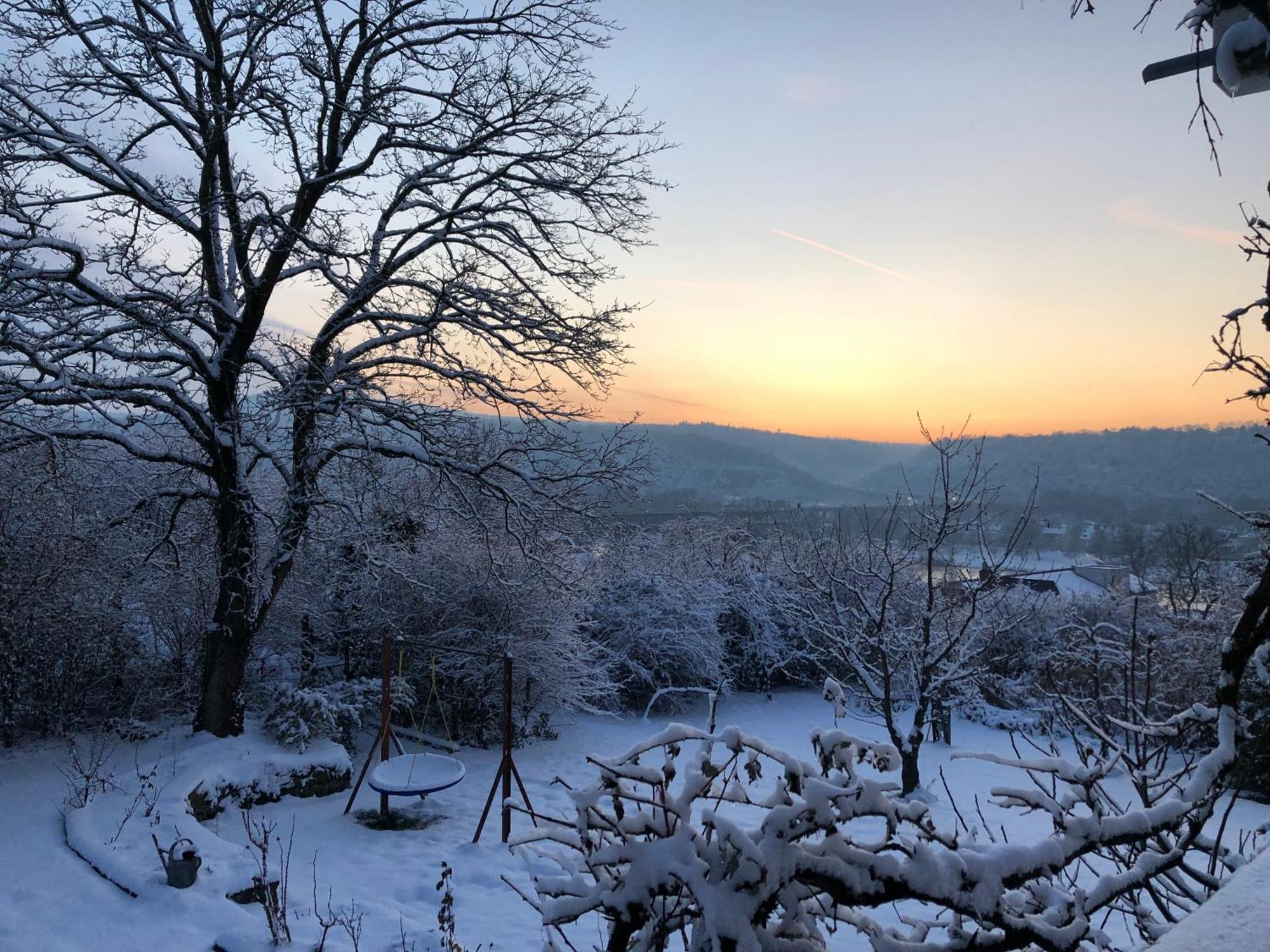 Ueber Den Daechern Von Koblenz - Aussichts-Wohnung Naturpark Rheinblick, Ruhig, Zentrumsnah, Sport-Pool Eksteriør billede